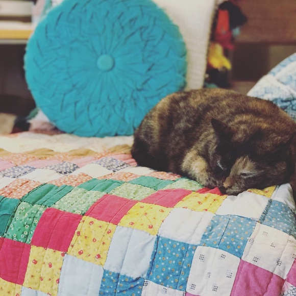 Meet Me 🤗 - Picture 4 of 5